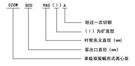 雙吸離心泵型號(hào)圖